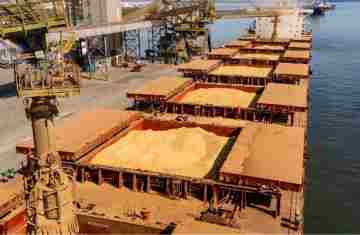  Soja responde por 21% da movimentação e lidera exportações no Paraná